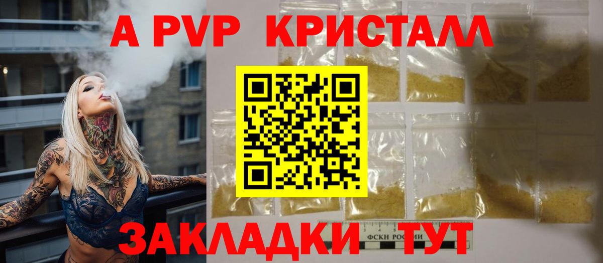 A-PVP СК КРИС Грозный