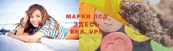 хмурый Бердск
