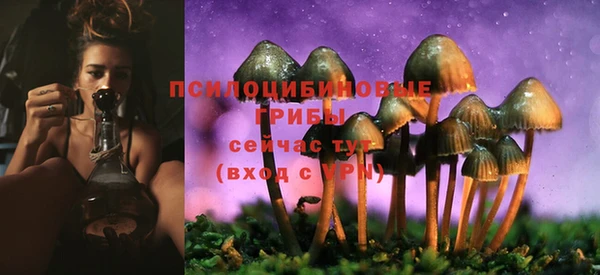 мдпв Аксай