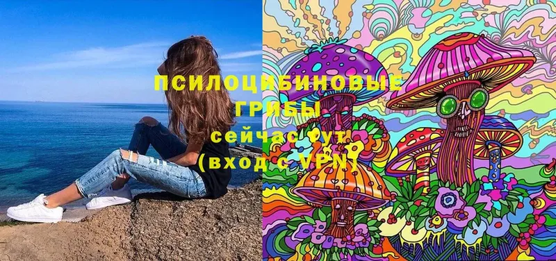 Псилоцибиновые грибы мухоморы  Грозный 