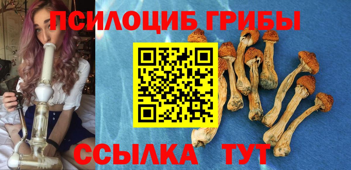 Галлюциногенные грибы мухоморы Грозный