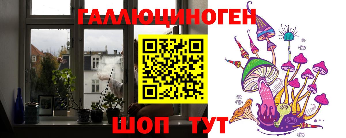 Псилоцибиновые грибы Psilocybine cubensis  Псилоцибиновые грибы Psilocybe  Грозный 